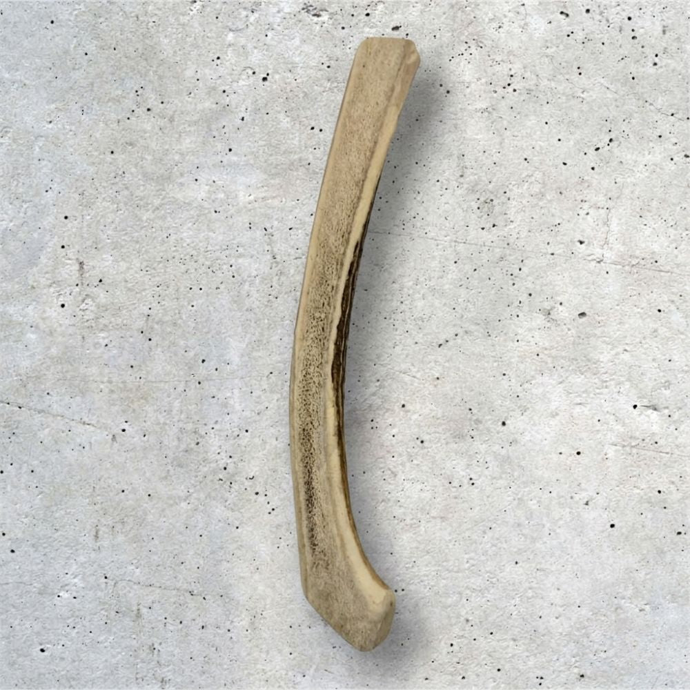 LUIS & LEON Hirschgeweih halbiert – Natürlicher Kauartikel für Hunde - LUIS & LEON