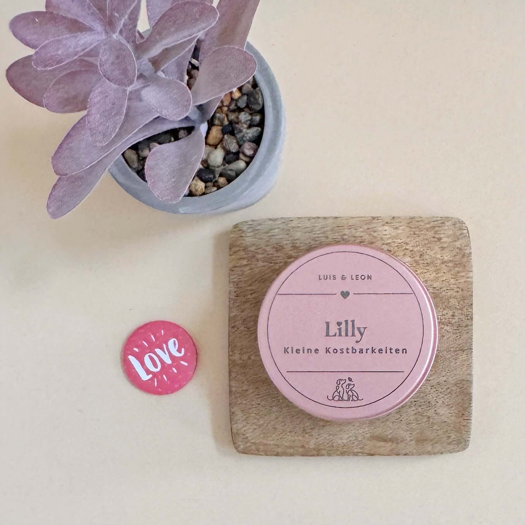 LUIS & LEON Leckerlidose Rosa – personalisierte Hundeleckerli Dose mit Gravur - LUIS & LEON