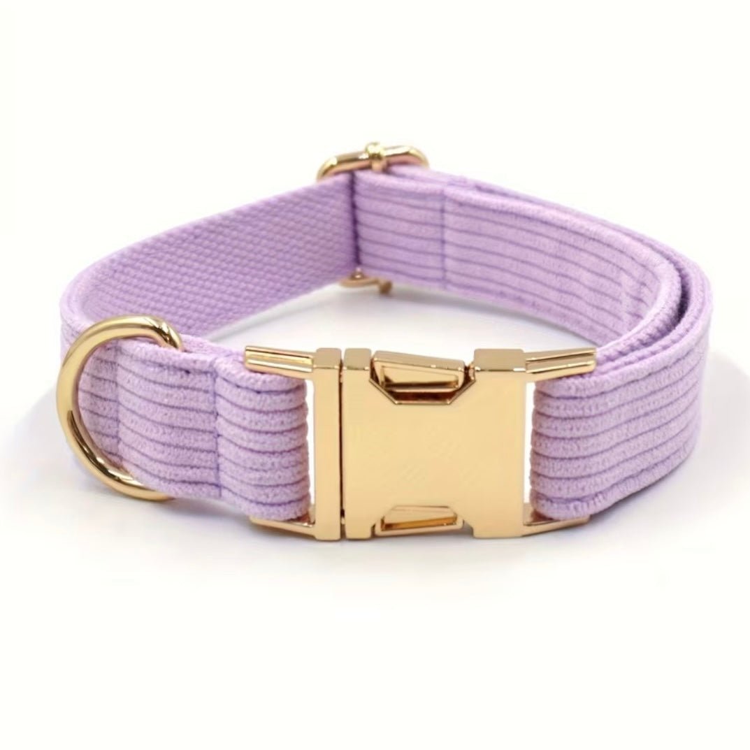 LUIS & LEON Personalisiertes Hundehalsband mit Name – Kordsamt & Gold - LUIS & LEON