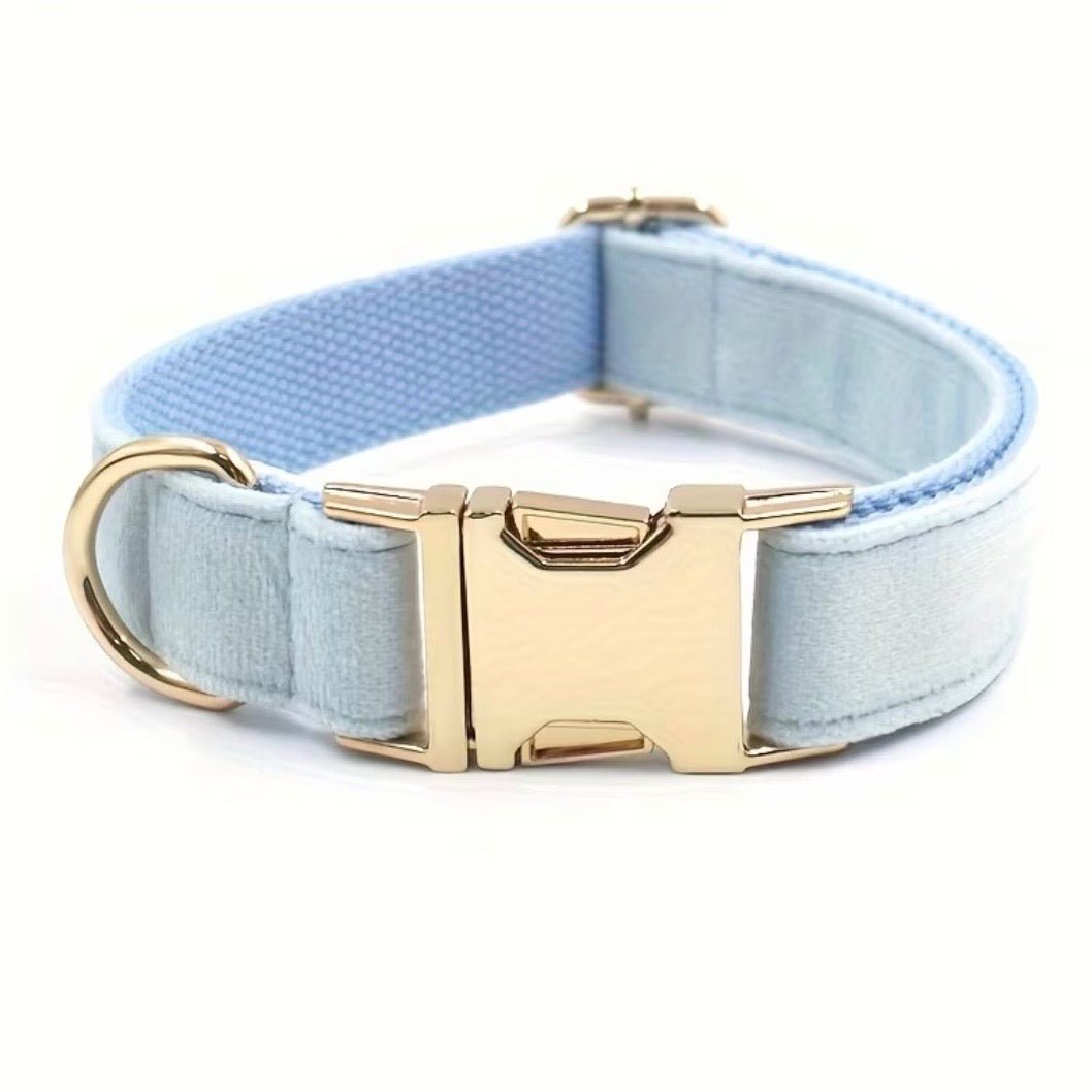 LUIS & LEON Personalisiertes Hundehalsband mit Name – Samt & Gold - LUIS & LEON