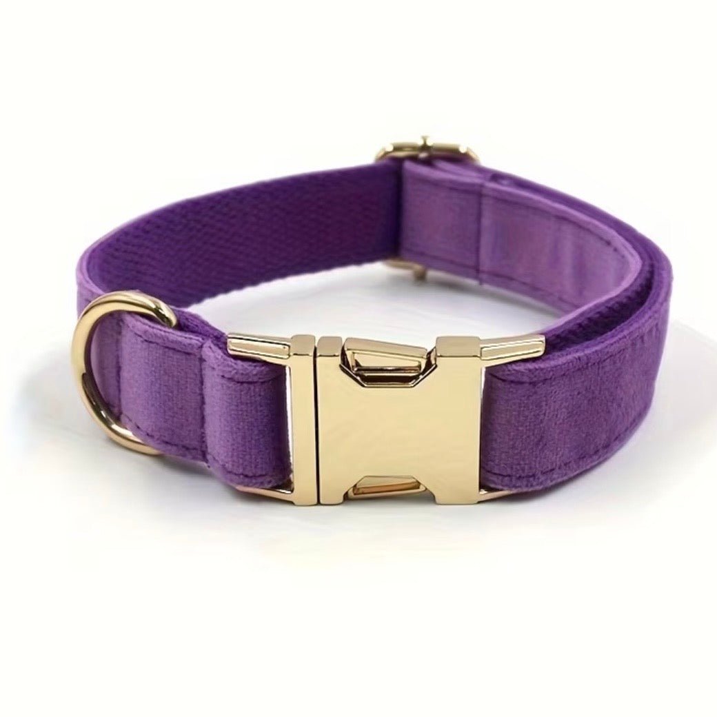 LUIS & LEON Personalisiertes Hundehalsband mit Name – Samt & Gold - LUIS & LEON