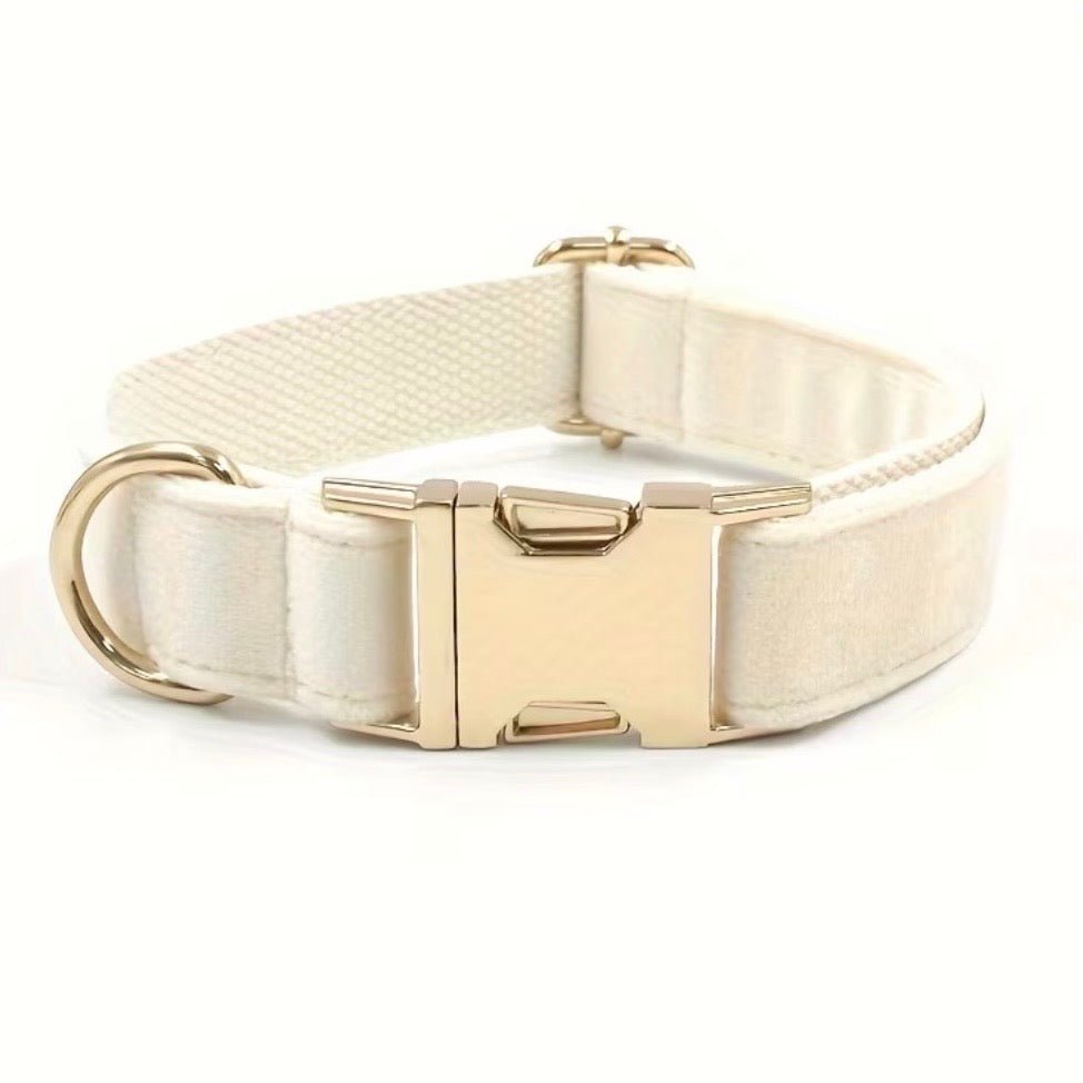 LUIS & LEON Personalisiertes Hundehalsband mit Name – Samt & Gold - LUIS & LEON