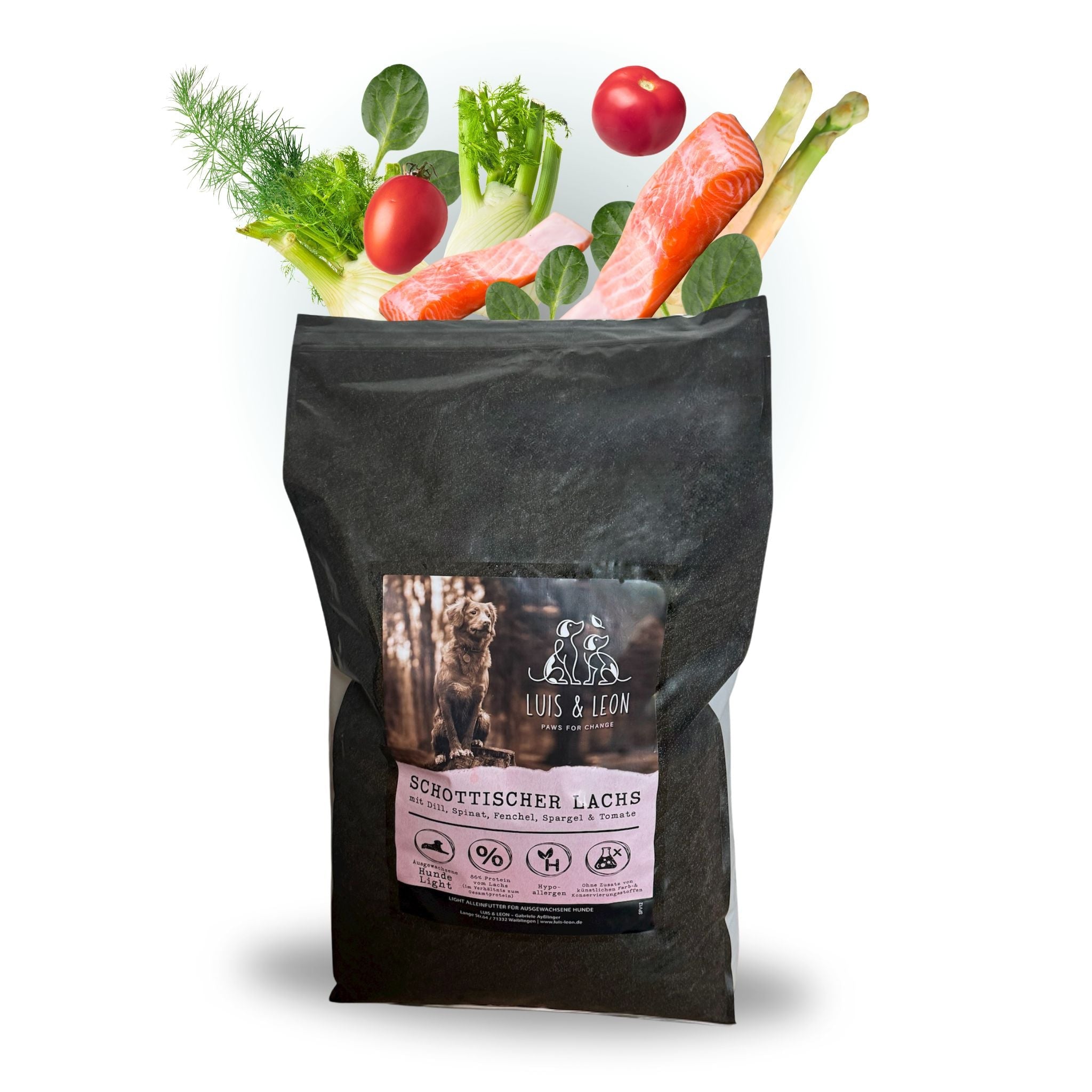 LUIS & LEON Schottischer Lachs – Trockenfutter mit Superfood für ausgewachsene Hunde - LUIS & LEON