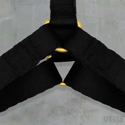 Morso GOLD CAVIAR H-Dog-Harness - H-Hundegeschirr - LUIS & LEON