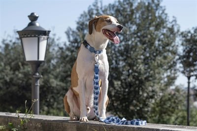 Morso - SPLASH Halsband - recyceltes PET - LUIS & LEON