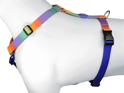 Morso SPRING BLOSSOM H-Dog-Harness - H-Hundegeschirr - LUIS & LEON
