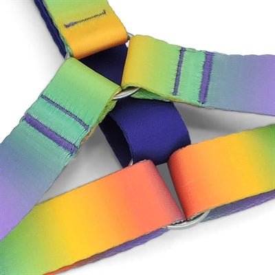 Morso SPRING BLOSSOM H-Dog-Harness - H-Hundegeschirr - LUIS & LEON