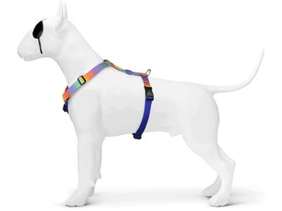 Morso SPRING BLOSSOM H-Dog-Harness - H-Hundegeschirr - LUIS & LEON