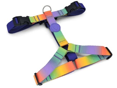 Morso SPRING BLOSSOM H-Dog-Harness - H-Hundegeschirr - LUIS & LEON
