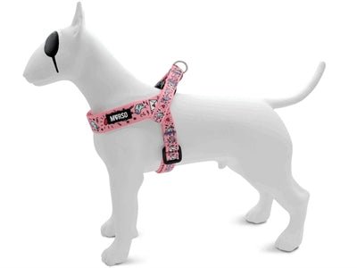 Morso SWEET TWEET Hundegeschirr Mini verstellbar - kleine Hunde - LUIS & LEON
