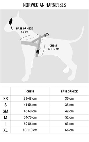Norwegergeschirr für Hunde - Morso PINK THINK - LUIS & LEON