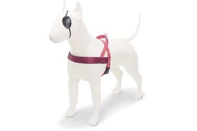 Norwegergeschirr für Hunde - Morso PINK THINK - LUIS & LEON