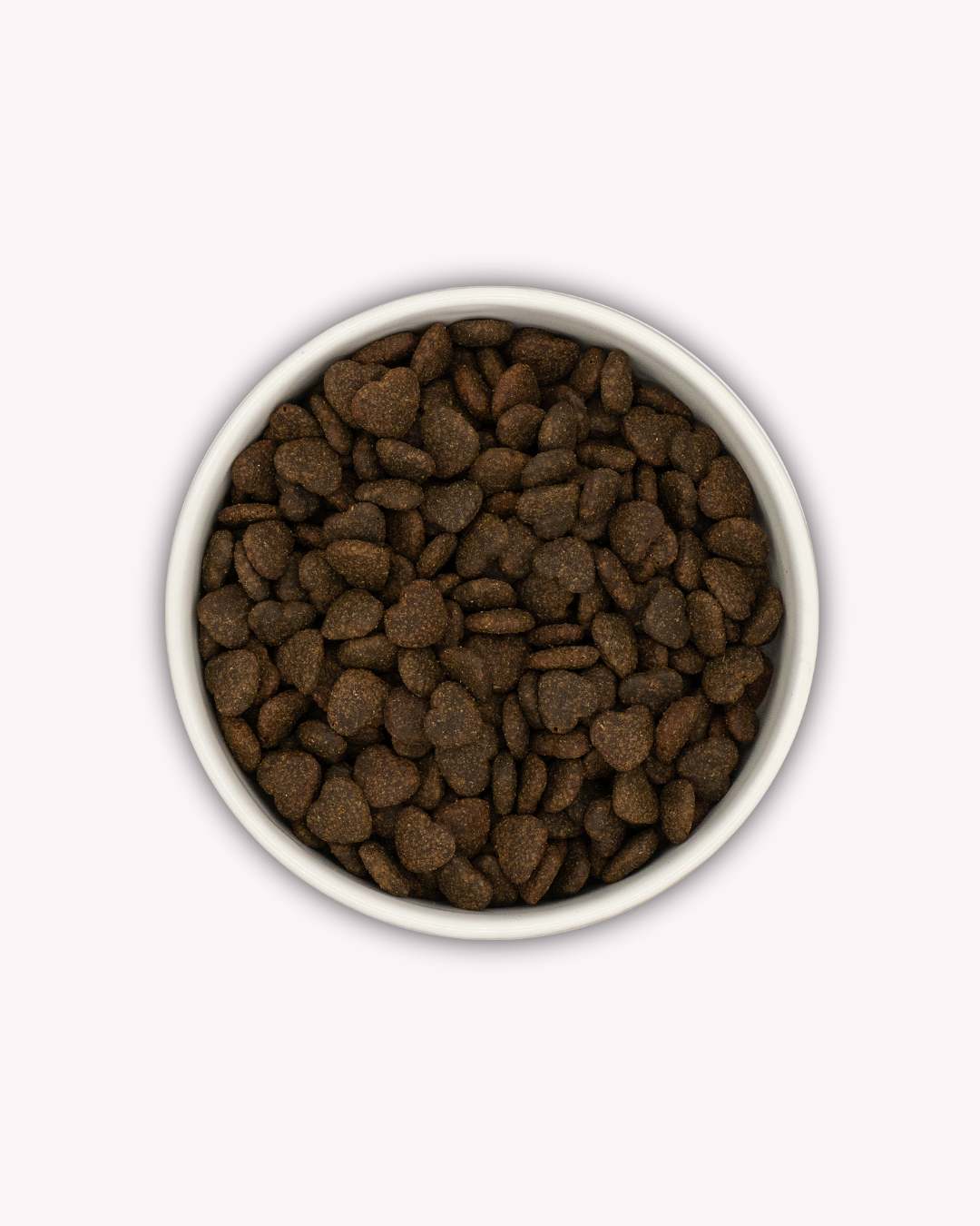 Peptid Haut & Fellpflege Trockenfutter LUIS & LEON – mit Lachs - LUIS & LEON