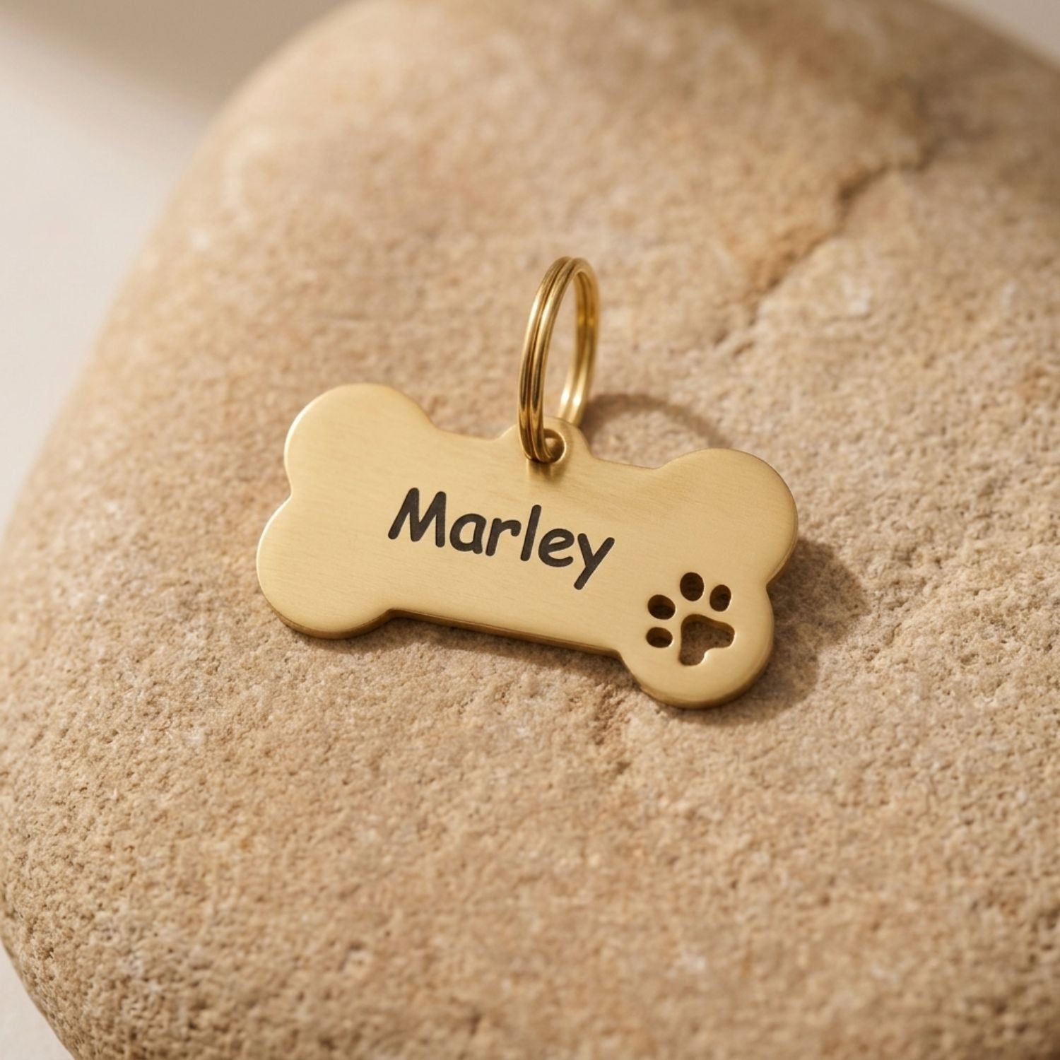 Personalisierte Hundemarke Edelstahl Knochen – Motiv - LUIS & LEON