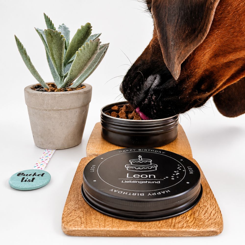 Personalisierte Leckerlidose für Hunde – Hundegeburtstag - LUIS & LEON