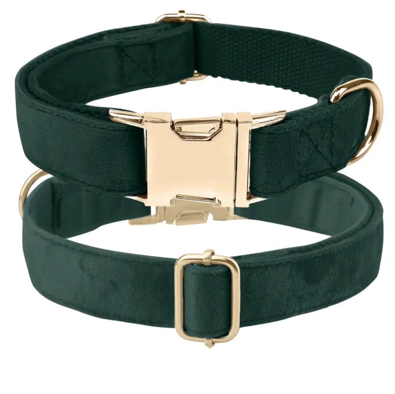 Personalisiertes Hundehalsband mit Name – Samt & Gold | LUIS & LEON - LUIS & LEON