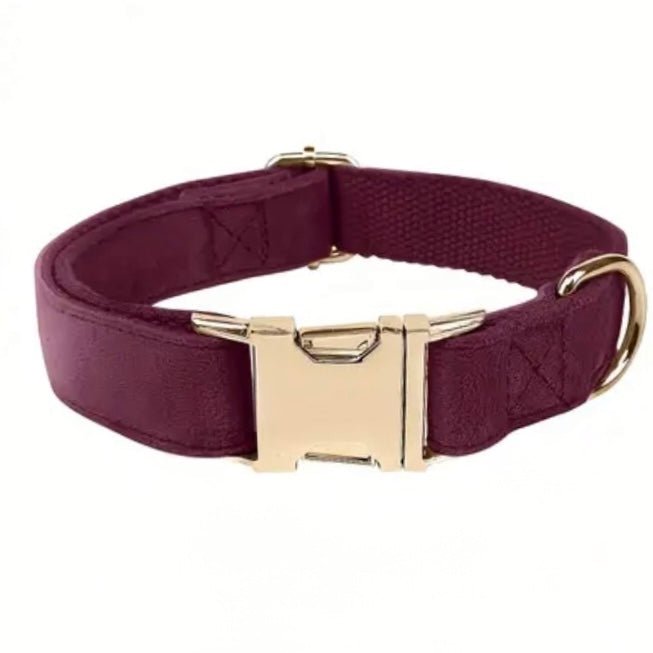 Personalisiertes Hundehalsband mit Name – Samt & Gold | LUIS & LEON - LUIS & LEON