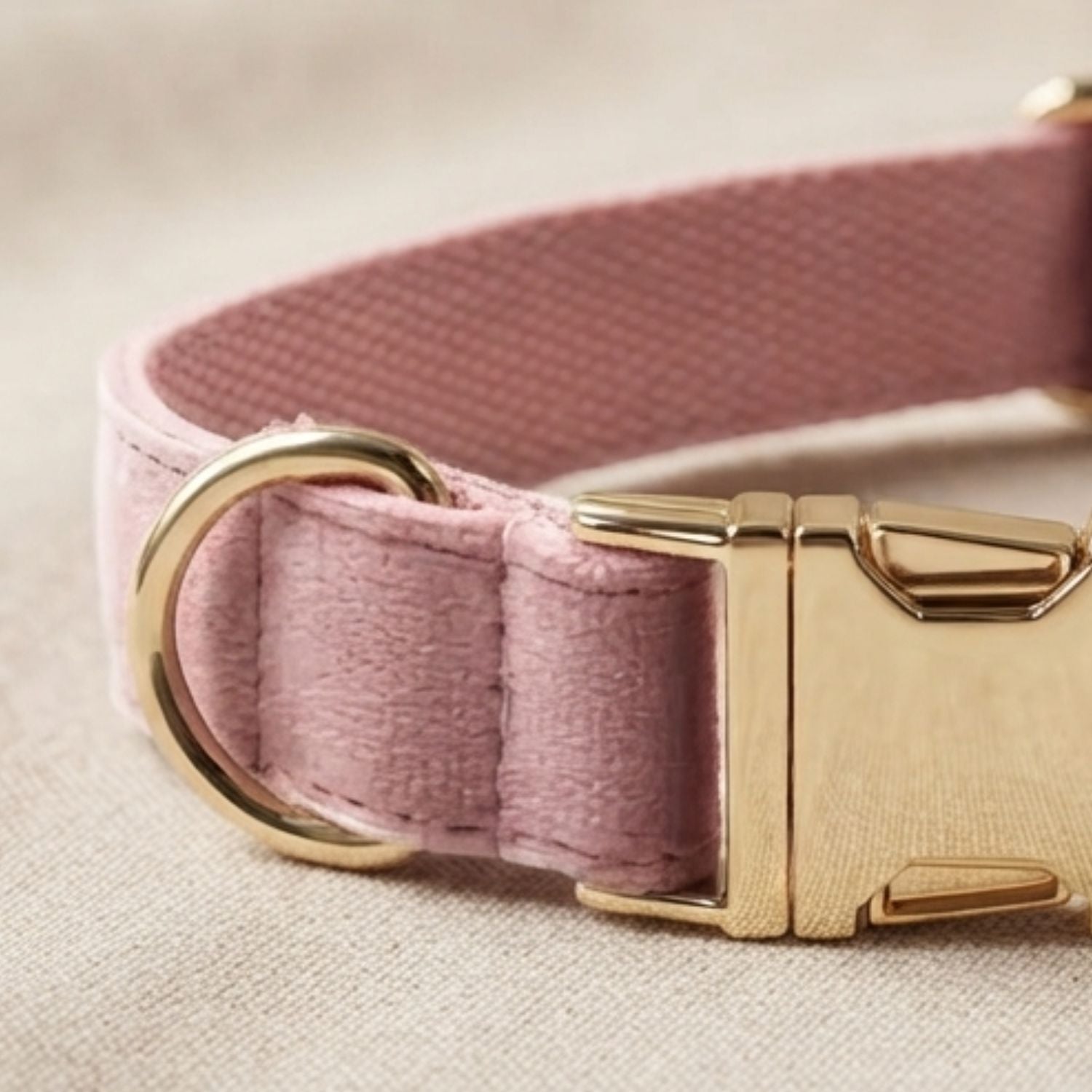 Personalisiertes Hundehalsband Samt – Gold - LUIS & LEON