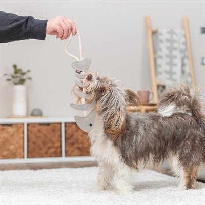 Trixie - Fischgräte am Tau, Hundespielzeug geräuschlos - LUIS & LEON