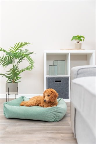 Trixie Hundebett Alena – Salbeigrün, Samt, weich - LUIS & LEON