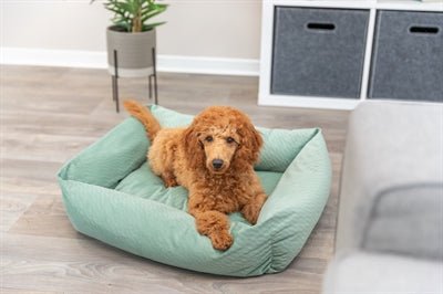 Trixie Hundebett Alena – Salbeigrün, Samt, weich - LUIS & LEON
