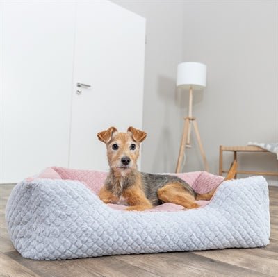 Trixie Hundebett Kaline Mio – weiches Hundebett mit Wendekissen - LUIS & LEON