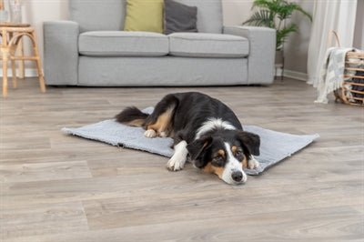 Trixie Reisedecke Amy – die praktische Hundedecke für unterwegs - LUIS & LEON