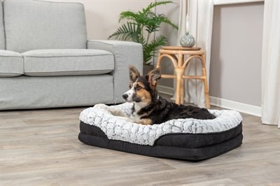 TRIXIE Vital Bett Lino – orthopädisches Hundebett für maximalen Schlafkomfort - LUIS & LEON