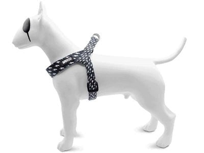 Verstellbares Hundegeschirr Mini - Morso POWER FLOW, kleine Hunde - LUIS & LEON