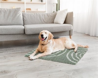 Zolux Vetbed Bow Green – Isoliermatte für Hunde, rutschfest & waschbar - LUIS & LEON